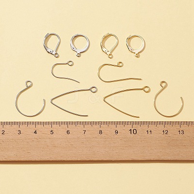48Pcs 12 Style 304 Stainless Steel Leverback Earring Findings & Earring Hooks STAS-FS0001-28-1