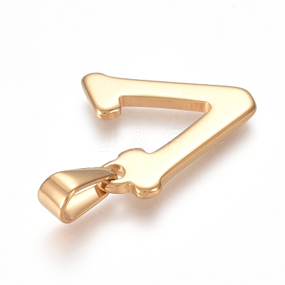 304 Stainless Steel Pendants STAS-F106-95G-V-01-1