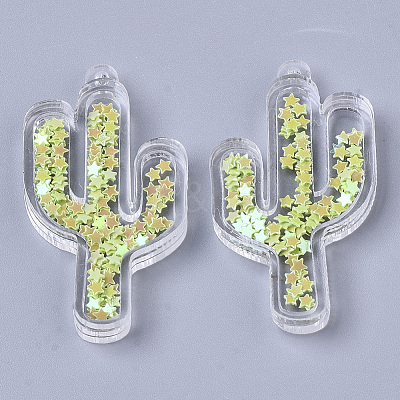 Transparent Acrylic Pendants TACR-R145-01-1