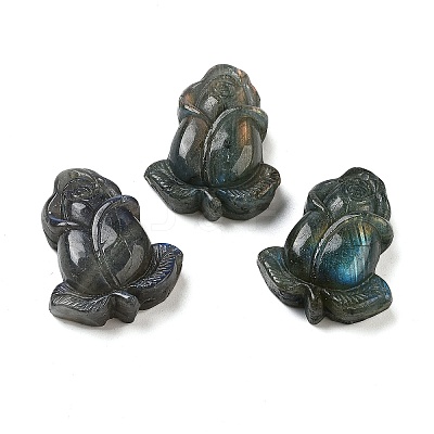Natural Labradorite Carved Cabochons G-C152-08-1