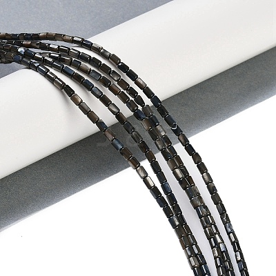 Natural Freshwater Shell Beads Strands BSHE-H109-17E-1