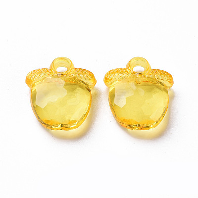 Transparent Acrylic Pendants TACR-S154-28B-81-1
