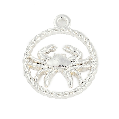 Twelve Constellations Alloy Pendants PALLOY-Q006-01A-S-1