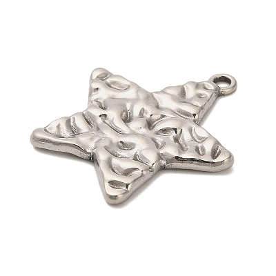 304 Stainless Steel Pendants STAS-P417-04B-P-1