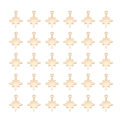 30Pcs Brass Charms KK-UN0002-11-1