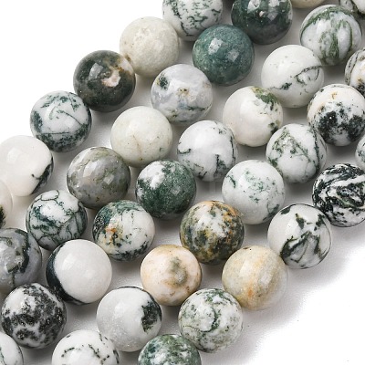 Natural Tree Agate Beads Strands G-T150-A09-12mm-1