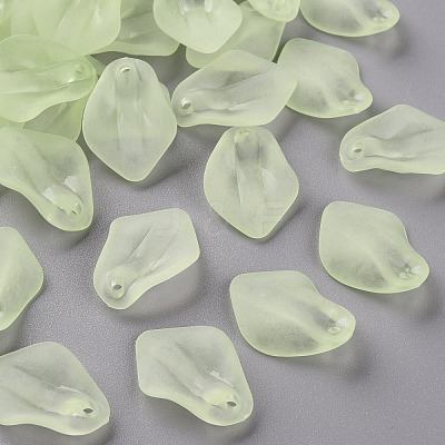 Transparent Frosted Acrylic Pendants MACR-S371-03A-728-1