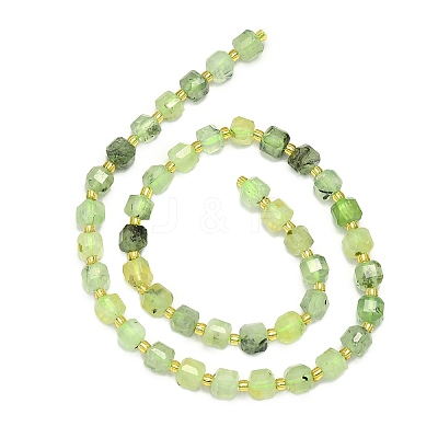 Natural Prehnite Beads Strand G-I376-D32-01-1