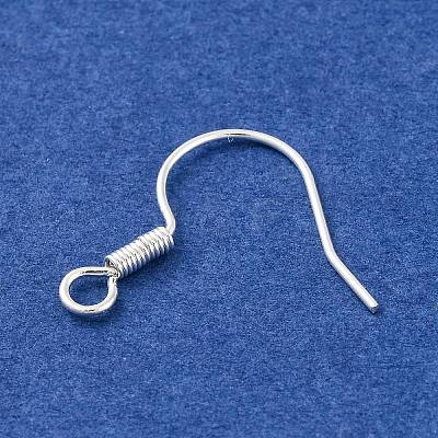 Brass Earring Hooks KK-Q363-S-NF-1