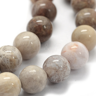 Natural Fossil Coral Beads Strands X-G-G763-12-8mm-1
