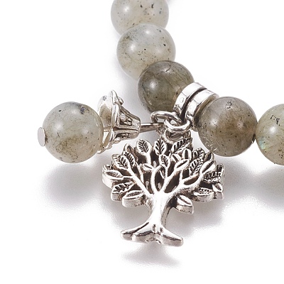 Chakra Jewelry BJEW-I273-A04-1