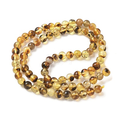 Natural Amber Beads Strands G-L095-B01-5mm-03-1