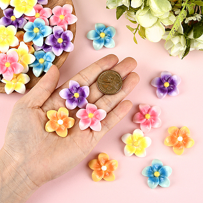 50Pcs 5 Colors Opaque Resin Cabochons FIND-SC0020-81-1