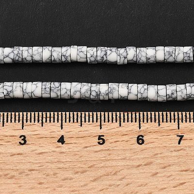 Dyed Synthetic Turquoise Beads Strands G-Z089-A04-A-1