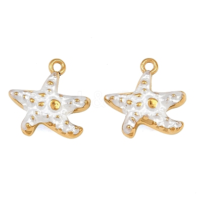 304 Stainless Steel Enamel Charms SA-CBAF5D5-17G-02-1