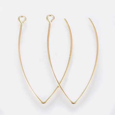 Ion Plating(IP) 304 Stainless Steel Earring Hooks STAS-K184-05-01G-A-1
