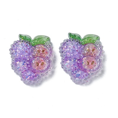 Fruit Transparent Epoxy Resin Decoden Cabochons LS-CRES-I030-23E-1