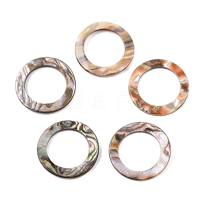 Natural Abalone Shell/Paua Shell Cabochons SHEL-T020-10B-1