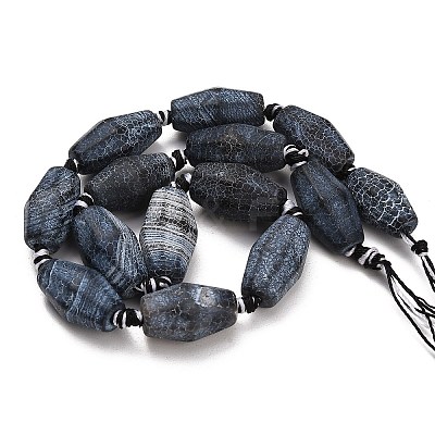 Natural Weathered Agate Beads Strands G-A321-B02-02-1