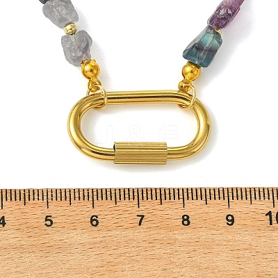 Women's Fluorite Necklaces NJEW-JN06639-1