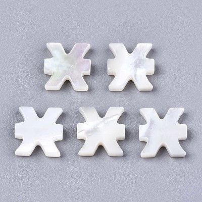 Natural White Shell Beads SSHEL-ZX004-02E-1