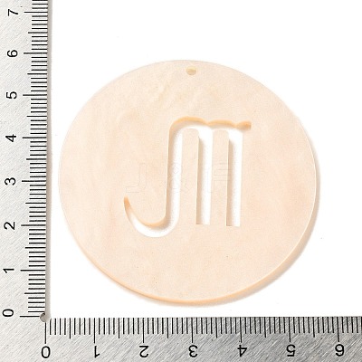 Acrylic Pendants SACR-S680-06K-1