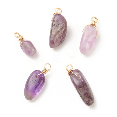 Natural Amethyst Pendants PALLOY-JF01582-01-1