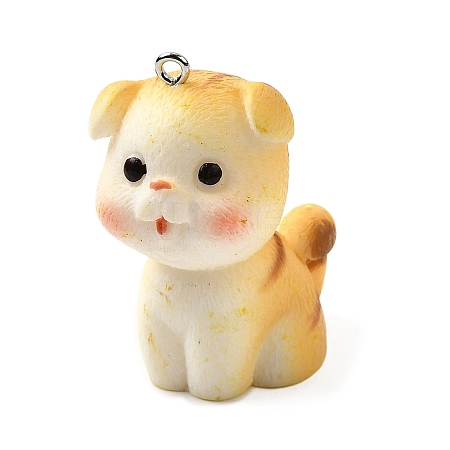 Resin Pendants FIND-U031-06P-1
