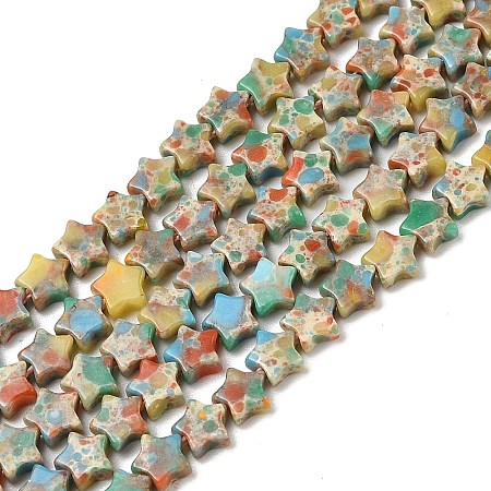 Dyed Synthetic Turquoise  Beads Strands G-H087-C07-01-1