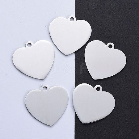 Tarnish Resistant 304 Stainless Steel Pendants LS-STAS-I140-10B-S-1