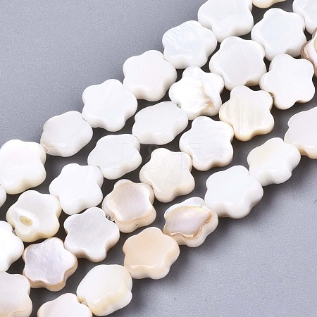 Natural Freshwater Shell Beads Strands SHEL-N027-02-1