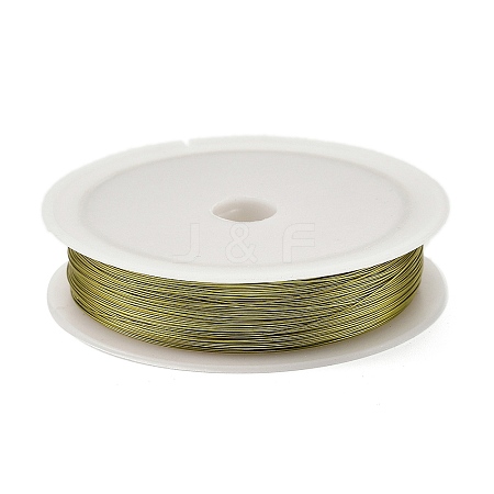 Baking Painted Iron Wire MW-NH0001-03B-1