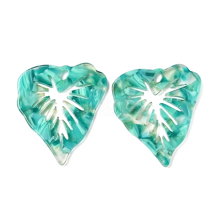 Transparent Cellulose Acetate(Resin) Pendants FIND-C088-05A-1