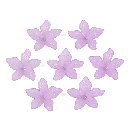 Translucent Acrylic Beads FACR-5335-6-1