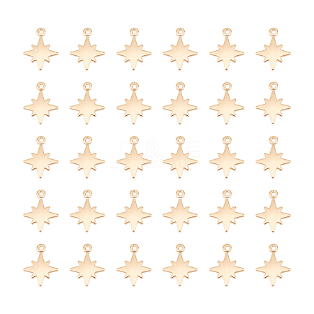 30Pcs Brass Charms KK-UN0002-11-1
