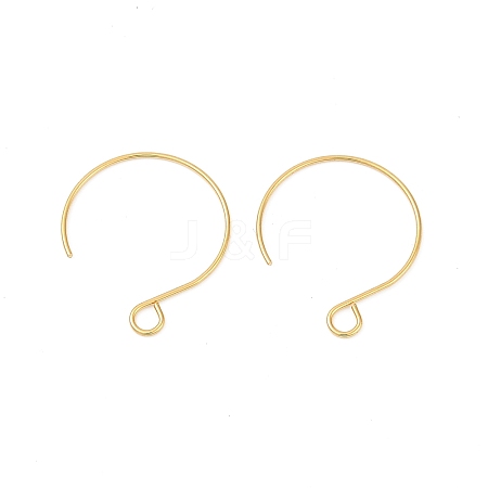 304 Stainless Steel Earring Hooks STAS-L216-02A-G01-1