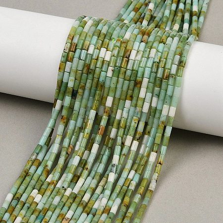 Natural Chrysoprase Beads Strands X-G-M389-22-1