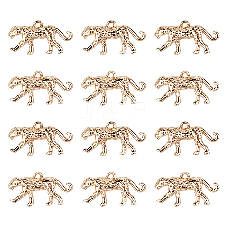 12Pcs Brass Charms KK-GO0002-28-1