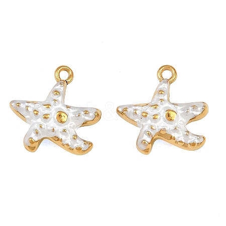 304 Stainless Steel Enamel Charms SA-CBAF5D5-17G-02-1