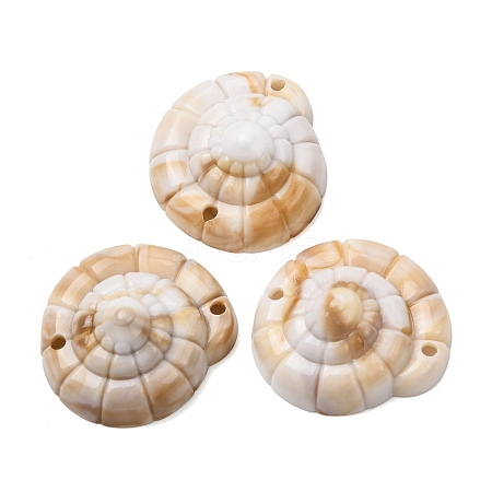 Opaque Acrylic Links Connector Charms SACR-K005-09-1
