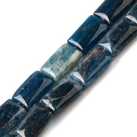 Natural Apatite Beads Strands G-Q026-B01-01-1