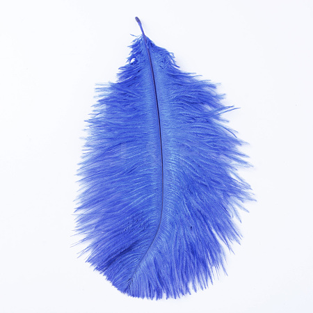Ostrich Feather Costume Accessories X-FIND-R036-A-11-1