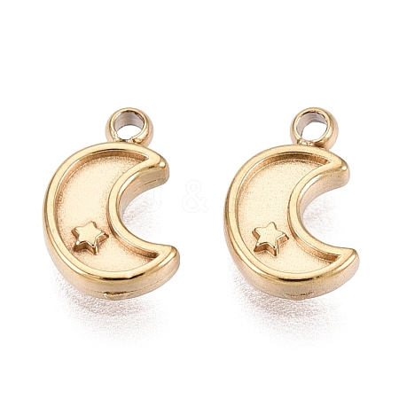 304 Stainless Steel Charms STAS-N125-24D-G-1