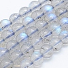 Natural Labradorite Beads Strands G-J373-14-5mm-1