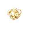 Brass Charms KK-I364-06G-02-2