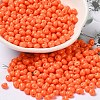 6/0 Opaque Baking Paint Glass Seed Beads X1-SEED-M012-02A-05-1