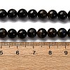 Dyed Natural Blue Tiger Iron Beads Strands G-G286-A02-6mm-5