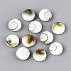 Natural Shiva Eye Shell Beads BSHE-T014-33B-1