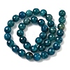 Natural Dragon Veins Agate(Dyed & Heated) Beads Strands G-M437-C01-01R-01-3