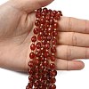 Natural Carnelian Beads Strands G-F809-A22-01-6